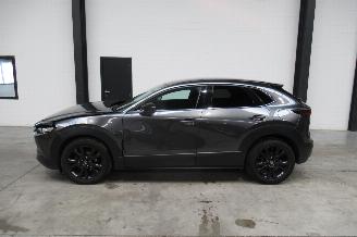 Mazda CX-30 SUV picture 2