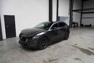 damaged passenger cars Mazda CX-30 SUV 2023/9