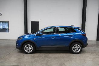 Opel Grandland SUV picture 2