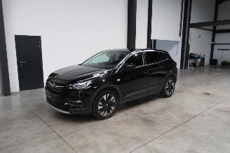Vaurioauto  passenger cars Opel Grandland SUV 2020/9