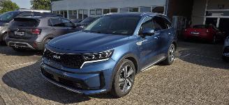 Kia Sorento 2.2 D Platinum*4WD*7 zitter/ Leer/ Memory *Panoramaschuifdak*360 Camera*HeadUp*Bose soundsystem*Ambiente*Navigatie*LED* picture 3