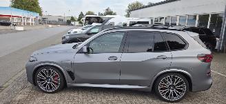BMW X5 50e picture 8