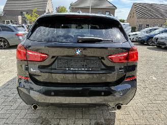 BMW X1 BMW X1 xDrive20d 2019 M picture 13