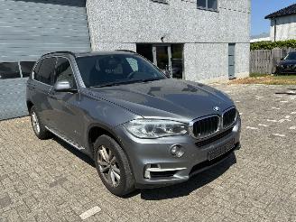 BMW X5 BMW X5 3.0D 2014 picture 4