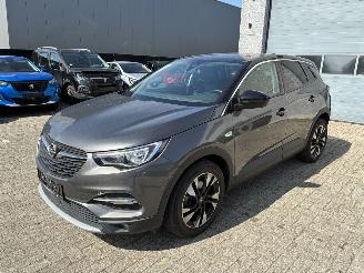 Schadeauto Opel Grandland OPEL GRANDLAND X 1.2I 2019 2019/3
