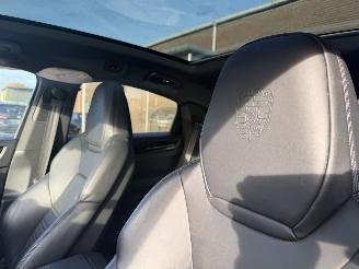 Porsche Cayenne E-HYBRID SPORT picture 16
