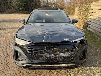 Audi SQ8 QUATTRO SPORTBACK E TRON 370 KW picture 10