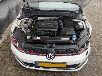 Volkswagen Golf 2.0 TSI GTI Performance picture 23