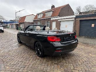 BMW 2-serie 218i M PAKKET CABRIO picture 25