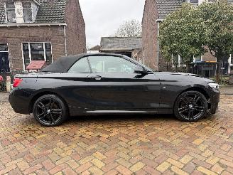 BMW 2-serie 218i M PAKKET CABRIO picture 6