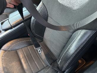 Mercedes ML 250 Bluetec Edition 1 EURO 6 Luchtvering picture 8