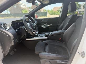 Mercedes B-klasse B250 AMG PANO SFEER picture 14