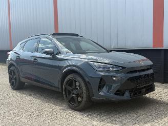 Damaged car Cupra Formentor 2.0 VZ 245 KW AKRA  PANO SFEER 2025/1