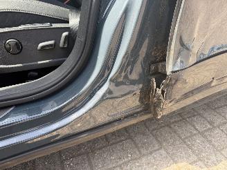 Cupra Formentor 2.0 VZ 245 KW AKRA  PANO SFEER picture 34
