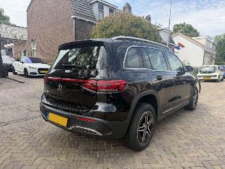 Mercedes EQB AMG 250 Business Line 67 kWh picture 4