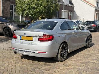 BMW 2-serie 220i Coupe Automaat picture 10