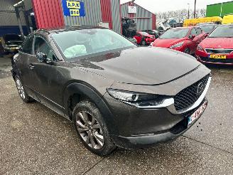  Mazda CX-30 2.0 HYBRIDE 2019/10