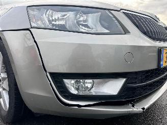 Skoda Octavia 1.6 TDI GREENLINE picture 18