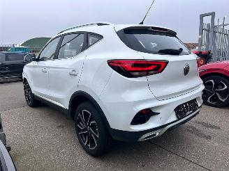 MG ZS 1.5 MG ZS & ZS Hybrid+ ZS32 picture 6