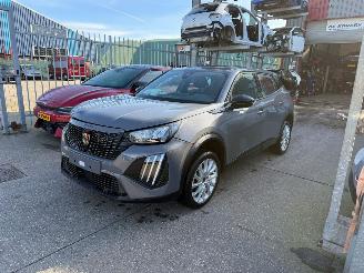  Peugeot 2008 e-2008 II Active 2024/7