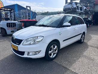 Schadeauto Skoda Fabia 1.2 TDI GREENLINE 2012/8