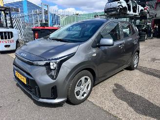 Damaged car Kia Picanto 1.0 DPI DYNAMICLINE 2024/12