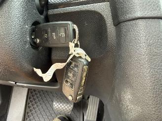 Volkswagen Golf 2.0 TDI / DSG / picture 13