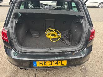 Volkswagen Golf 1.4 TSI / GTE / DSG / PANO picture 16