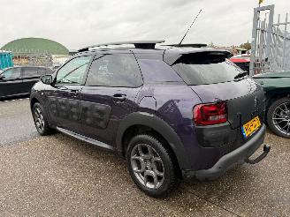 Citroën C4 cactus 1.2 SHINE picture 6