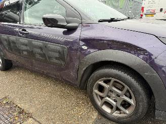 Citroën C4 cactus 1.2 SHINE picture 17
