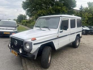 Unfallwagen Mercedes G-klasse 290 GD LANG GRIJSKENTEKEN 1997/6