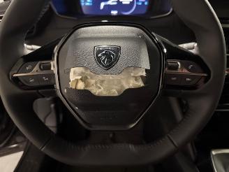 Peugeot 2008  picture 18