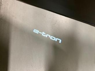 Audi E-tron  picture 18