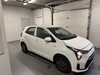 krockskadad bil auto Kia Picanto  2025/5