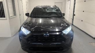 Toyota Rav-4  picture 2
