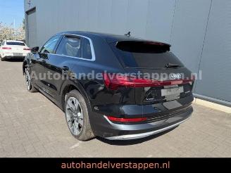 škoda osobní automobily Audi E-tron 55 Quattro Advanced 95KWH B&O MATRIX 2019/9