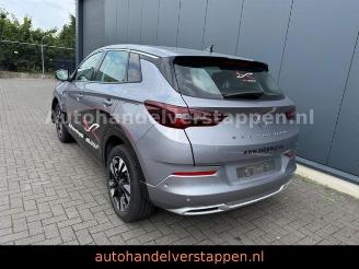 Avarii autoturisme Opel Grandland X PHEV 165KW Hybrit 2023/11