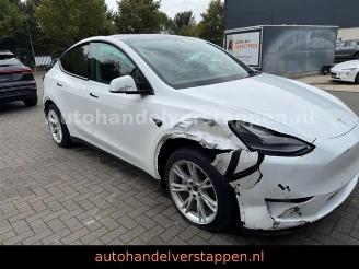 Tesla Model Y Long Range Dual AWD Pano Leder picture 6