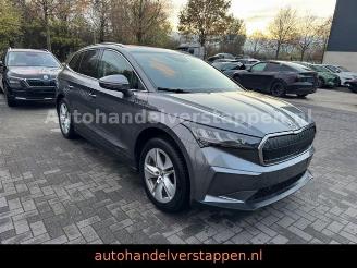  Skoda Enyaq 80 DAB+ Suite Convenience-Paket 2023/11