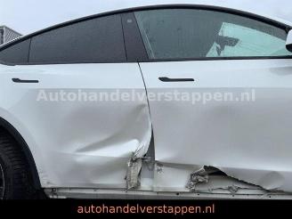 Tesla Model 3 Model Y Performance Dual AWD 393KW picture 6