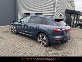 Audi Q8 e-tron 55 Quattro S line Panorama picture 11