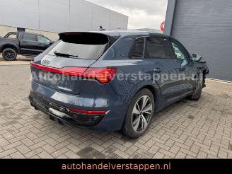 Coche accidentado Audi Q8 e-tron 55 Quattro S line Panorama 2023/9