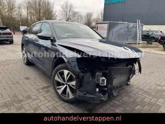 Audi Q8 e-tron 55 Quattro S line Panorama picture 18