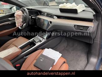Audi Q8 e-tron 55 Quattro S line Panorama picture 44