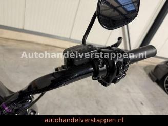 Harley-Davidson Road King Special - Krugger picture 17