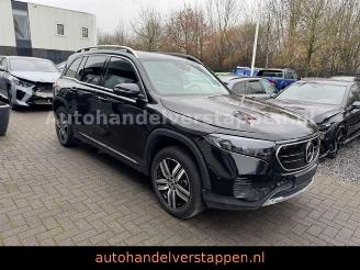 Mercedes EQB 250 Advanced 140KW Navi+ Leder 7Personen picture 2