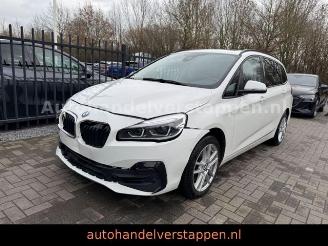 skadebil auto BMW 2-serie 18I Gran Coupé Advantage Automatik 7-sitzer 2020/3