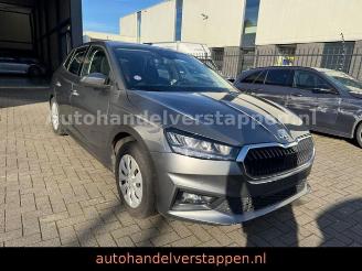 Damaged car Skoda Fabia Ambition TSI 110KW Graphite Grey 2024/3