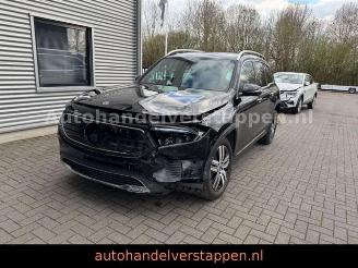 Mercedes EQB 300+ 4Matic 168KW Progressive Panorama FULL picture 2