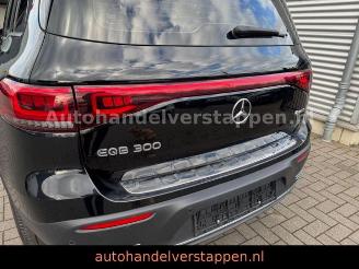 Mercedes EQB 300+ 4Matic 168KW Progressive Panorama FULL picture 5